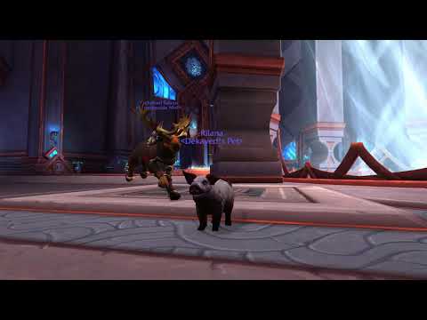 Shadowlands tailoring trainer location