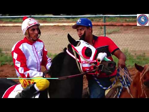 GITANA vs REYNA DEL SUR (Pista El Chicharito Race Track)