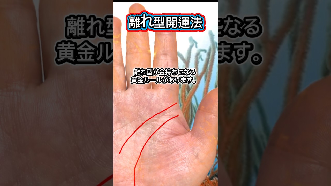 離れ型開運法　#開運 #金運 #雑学 #スピリチュアル