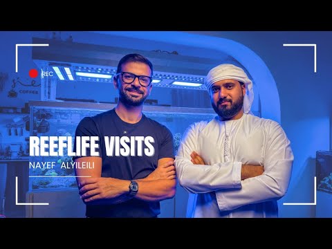 ReefLife Visits: Inside Nayef’s Home Reef Kingdom – 200+ Acropora Collection!