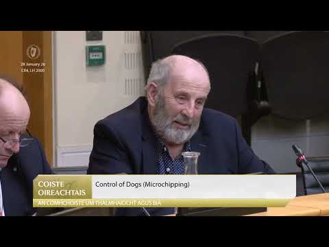 Danny Healy-Rae urges more dog wardens amid sheep attacks