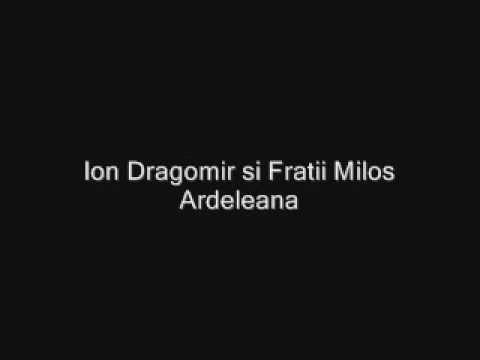 Papu & Fratii Milos Ardeleana