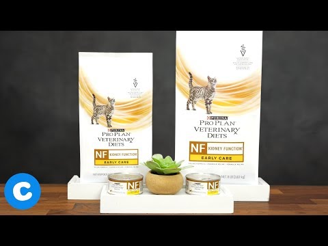 download lagu mp3 mp4 Purina Nf Cat, download lagu Purina Nf Cat gratis, unduh video klip Purina Nf Cat