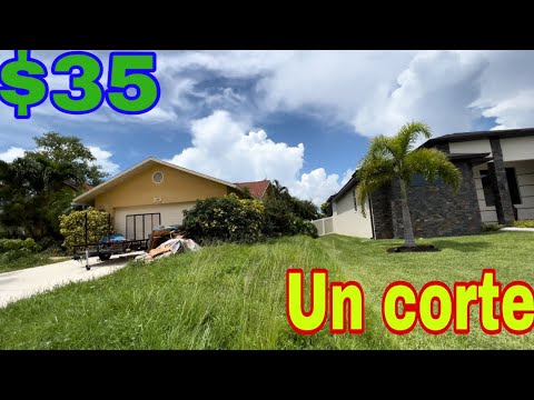 PUEDES CORTAR MI YARDA POR $35 HABLANDO INGLÉS