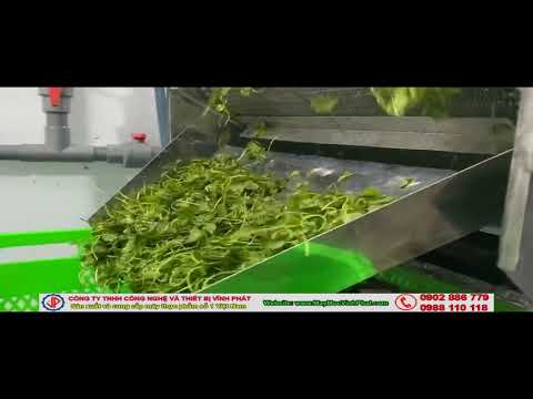 Máy rửa rau má khối lượng lớn
