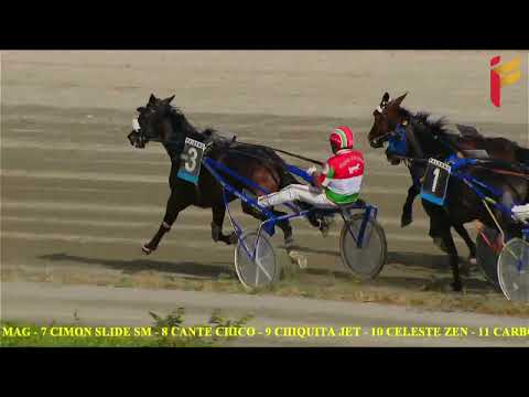 IV Corsa del 1 Giugno 2022 - 4 Anni - Metri 2000/2020