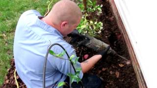 preview picture of video 'Clint Miller Exterminating - Effective Extermination of Termites, Ants, and More in Mt. Pleasant NC'