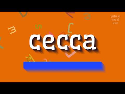 HOW TO SAY CECCA? #cecca