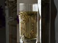 Silver Needle Organic White Tea Looseleaf Easy Cup Method