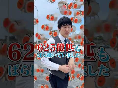 【速報】政府が沖縄でハエをばら撒きか