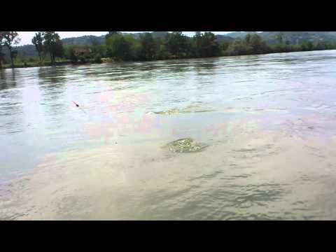 Drina Poljak vozi skobalja!!