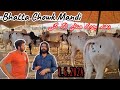 Bhatta Chowk Mandi 2024 - Latest Updates 1 June 2024 - Islamabad Rawalpindi Cow Mandi 2024 ...