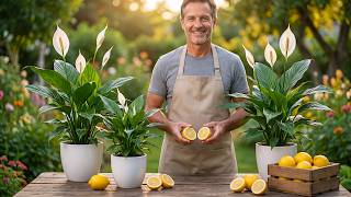 Just squeeze one Lemon! 🍋 Your garden plants will bloom year-round.