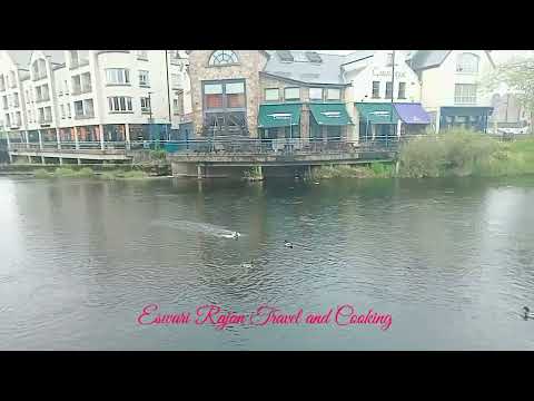 #Ireland 🇮🇪Ireland # Natural Sound#Forest#Sligo special#1