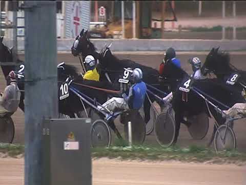 Trotto 28/10/2018 - 5ª corsa