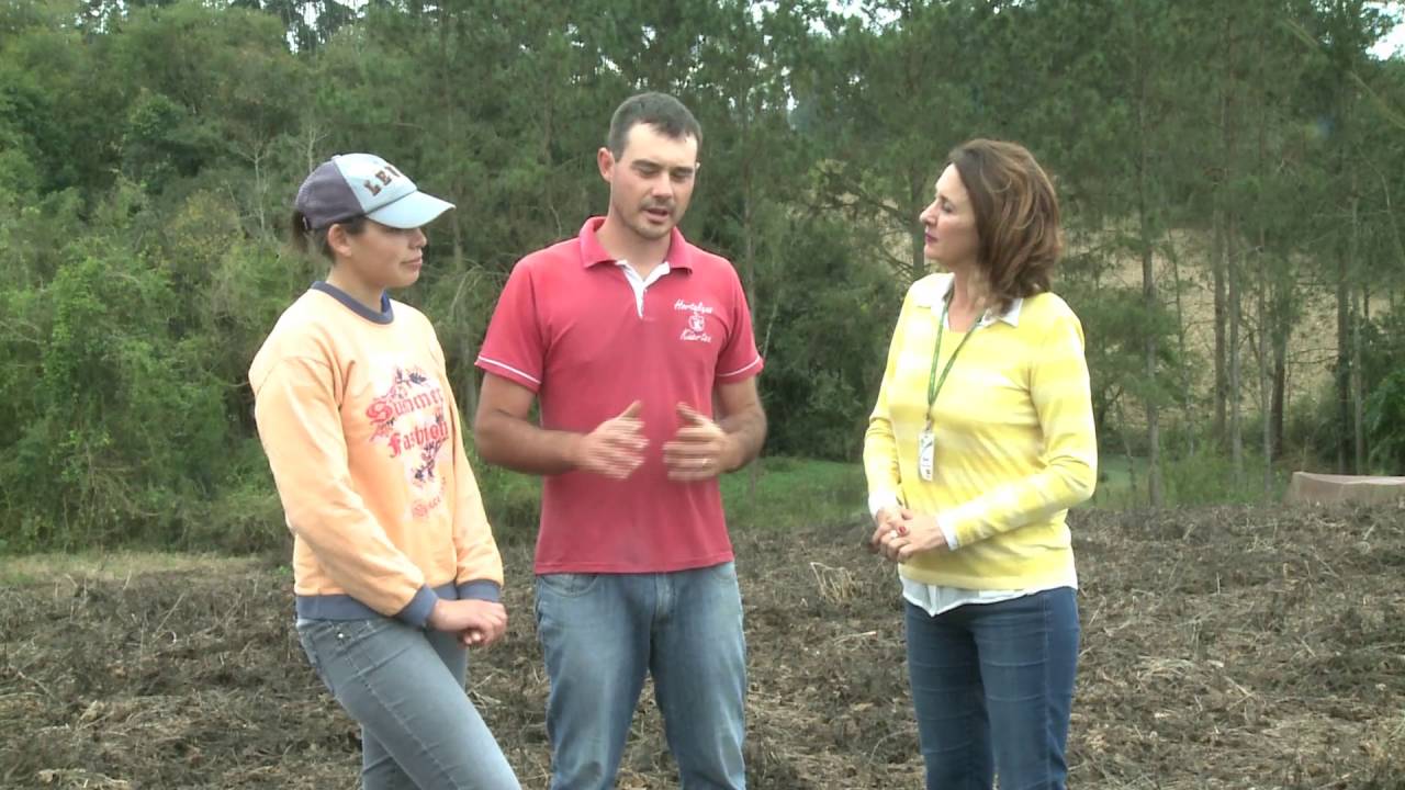 SPDH  Cebola plantio direto