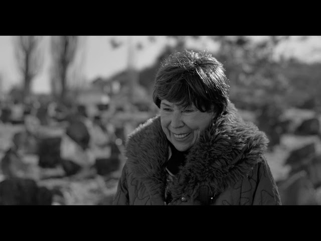 SEE Factory - Trailer