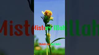 Download lagu misteri ilahi #storywa #misteri #tahunbaru2023 mp3
