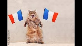 The Frenchmen!(Spheric Universe Experience: IZZ; Pain of Salvation; Joe Cocker; BTBAM; Opeth)(#490)