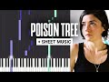 Poison Tree Grouper Piano Tutorial MIDI