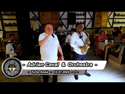 Turta Anais Andreea - 1 - Adrian Caval - Program cu hore lente si de joc - 12.07.2024