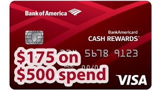 Awesome Cash Bonus from BofA Cash Rewards | BeatTheBush