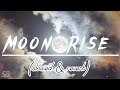 Moon Rise - Lofi (Slowed + Reverb) | Man of The Moon | Guru Randhawa SR Lofi || space beats ||