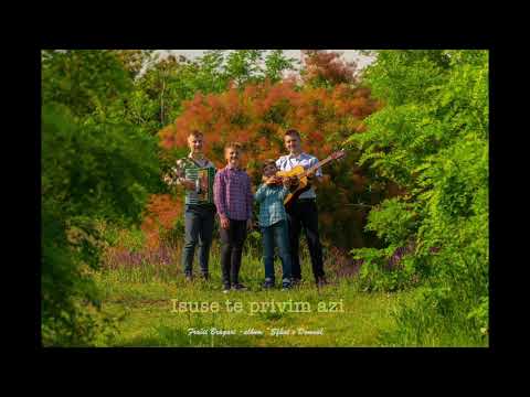 Fratii Bragari - Isuse te privim azi (Audio)