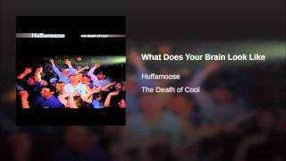 What Does Your Brain Look Like