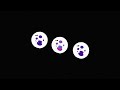 Rainbow Kitten Surprise It S Called Freefall Extended One Hour Loop