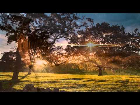 IF YOU REMEMBER ME BY CHRIS THOMSON WITH LYRICS