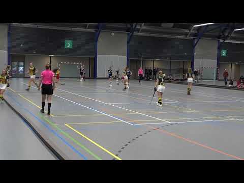 HDM D1 vs PIN D1 (1-2)