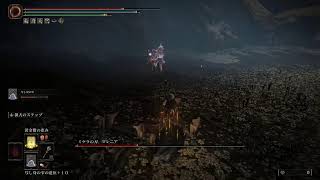 【ELDEN RING】君の兄様なら地下遺跡で見たよ【六周目のマレニア】