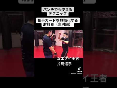 【ムエタイ王者直伝】相手のガードを無効化して打ち込む肘打ち（パンチにも応用できる！）