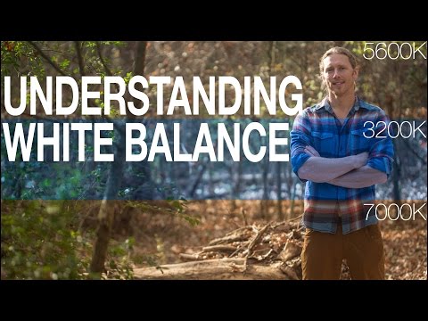 White Balance Basics: What is color temperature and why do we need to know?
