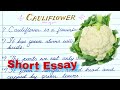 Essay On Cauliflower 10 Lines On Cauliflower In English About Cauliflower In English