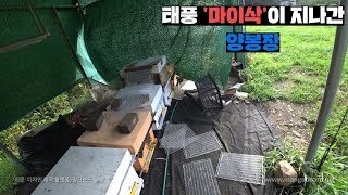 태풍 '마이삭'이 지나간 양봉장과 농장의 상태!! 하우스 다 휘어졌습니다.