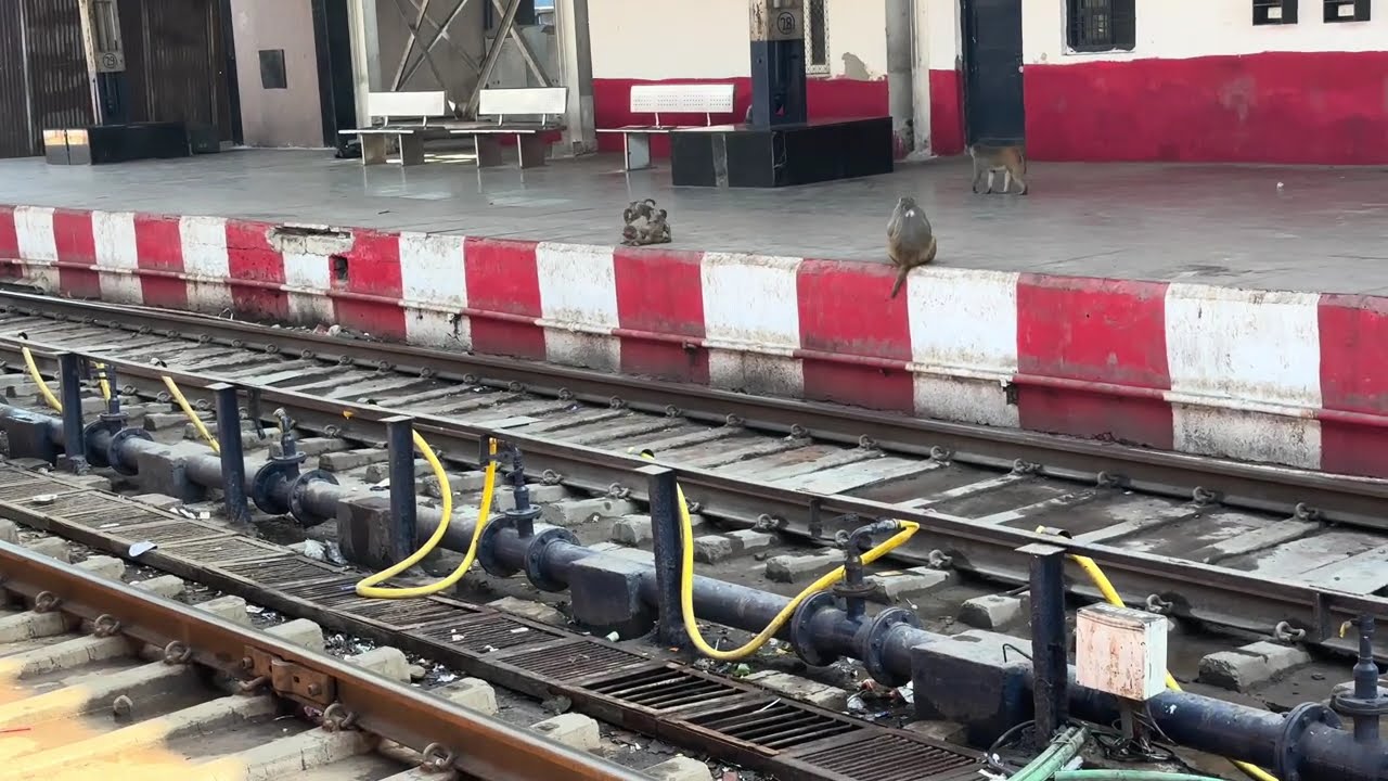 AGRA CANTT STATION 🚉