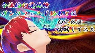 月ノ美兎も行った合法トリップ　ドラッグを使わずに合法的に幻覚を見る方法【ガンツフェルド効果】