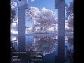 Eric Jackson - The Distant ( 2012) 
