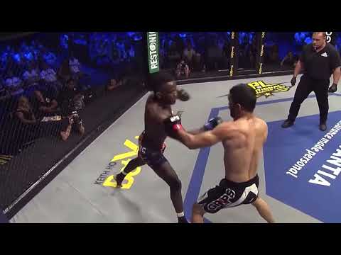 Pena vs Sayed 2 / highlights