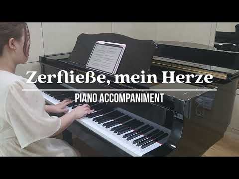 Zerfließe, mein Herze (St John Passion BWV 245 - Bach) | Piano Accompaniment