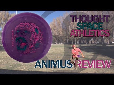 Thought Space Athletics Animus Review