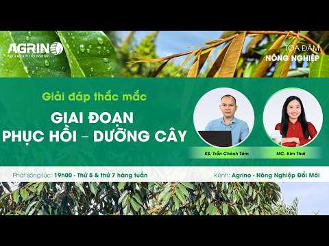Tọa đàm sầu riêng Agrino: GIẢI ĐÁP THẮC MẮC TẬP 1 - GIAI ĐOẠN PHỤC HỒI, DƯỠNG CÂY