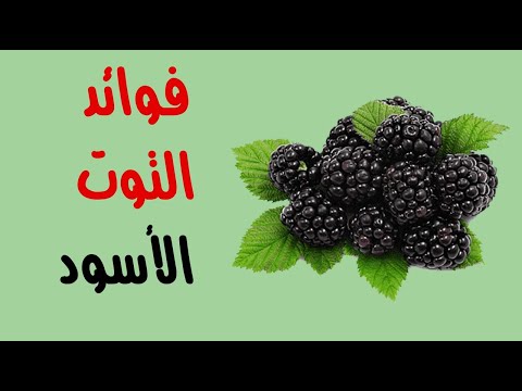 ما هي فوائد التوت الأسود ؟