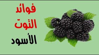 ما هي فوائد التوت الأسود ؟ ما هي فوائد التوت الأسود ؟