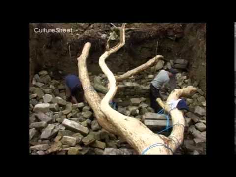 Who is Andy Goldsworthy?