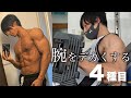 【筋トレ】ももじり流！腕をデカくする4つのトレーニング！#筋トレ #腕トレ #トレーニング