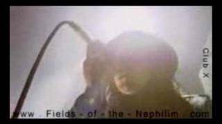 Fields of the Nephilim  The Watchman
