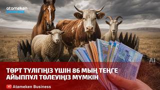 Төрт түлігіңіз үшін 86 мың теңге айыппұл төлеуіңіз мүмкін